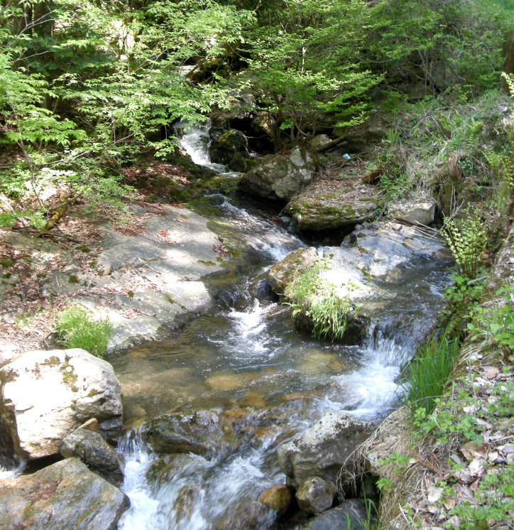 渓流-1.jpg