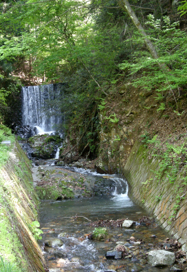滝-1.jpg