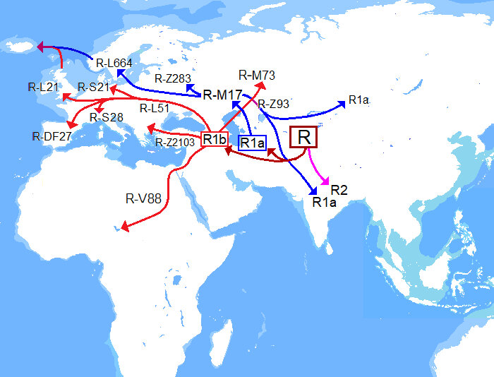 R1a R1b Wikimedia commons.jpg