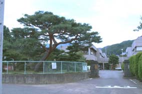 南条小学校正門.jpg