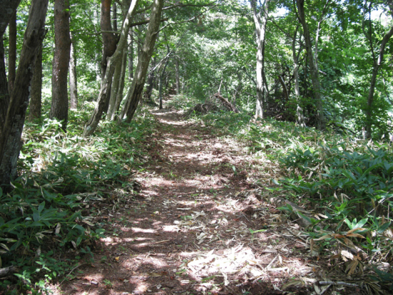 和平登山の道-1.jpg