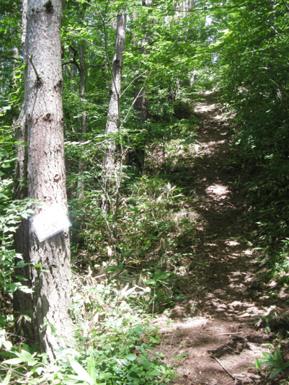 和平登山の道-2.jpg