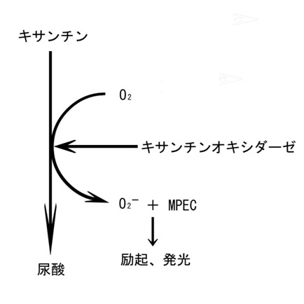 図-1.1.jpg