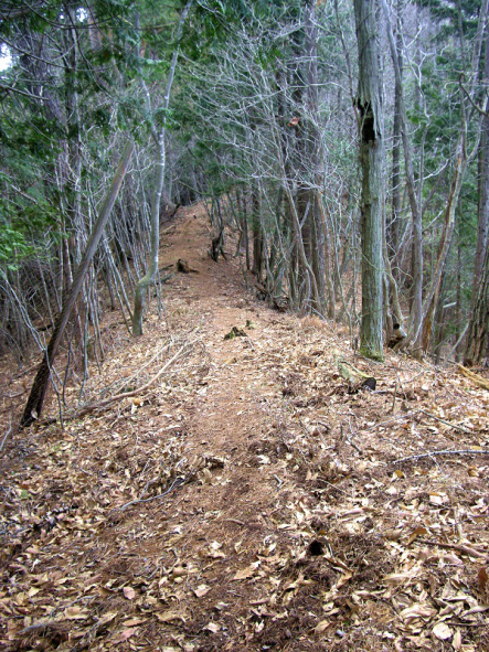 大道山への道-2.jpg