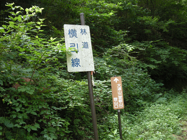 大道山登山口.jpg