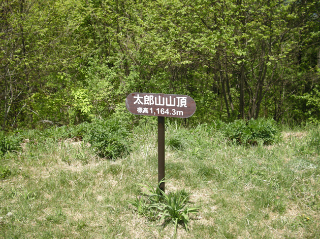 太郎山山頂-2.jpg