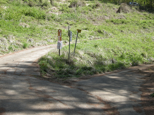 太郎山林道分岐点.jpg