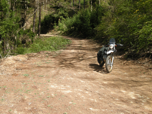 太郎山林道-2.jpg