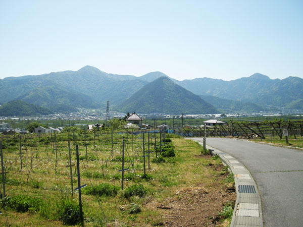 岩井堂山.jpg