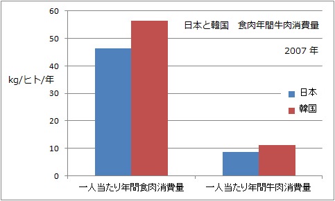日本と韓国　年間食肉消費量　2007年.jpg