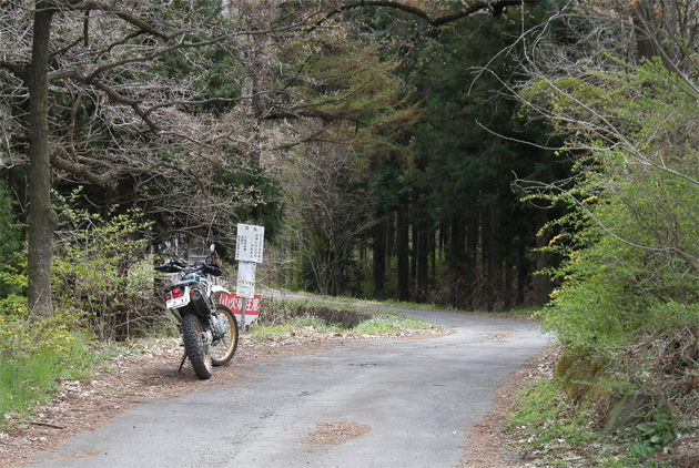 林道入り口.jpg