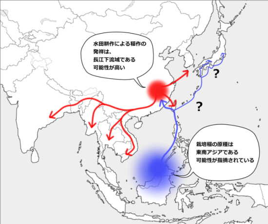 稲の伝播ルート-3.jpg