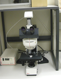 蛍光顕微鏡-2のコピー.jpg