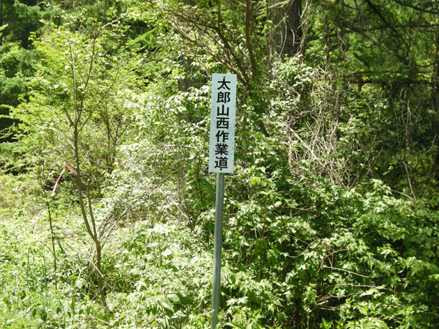 西作業道.jpg