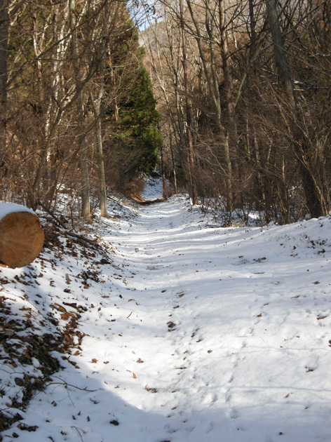 雪の道-1.jpg