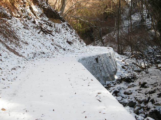 雪の道-2.jpg