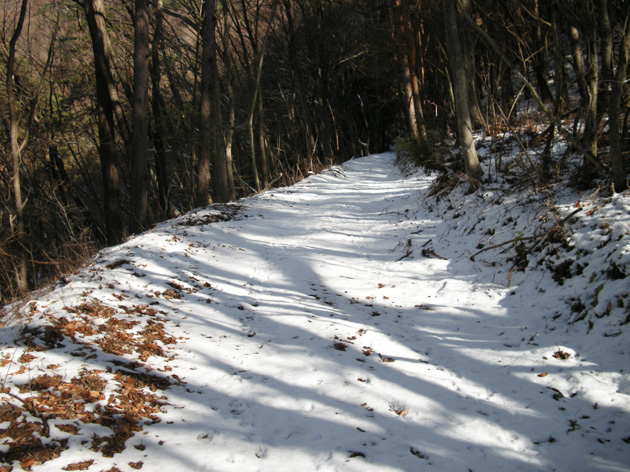 雪の道-3.jpg