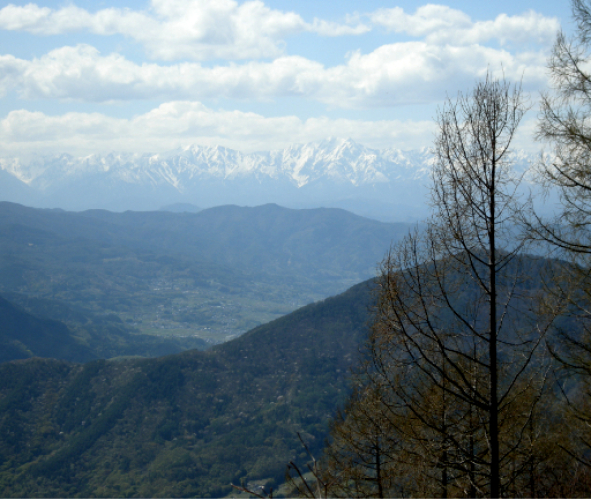鳩北アルプス.jpg