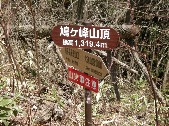 鳩山頂.jpg