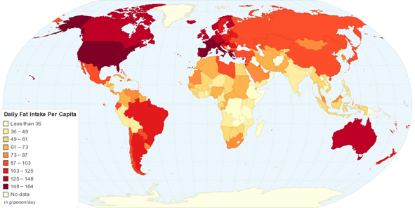 daily fat consumption.jpg